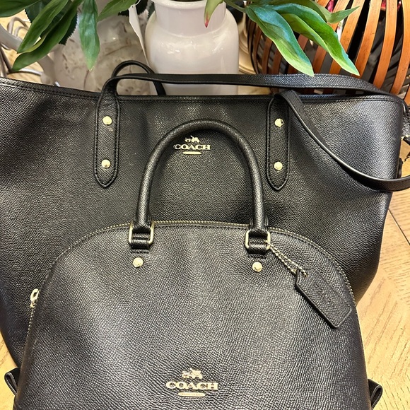 Excellent condition Coach medium tote and matching Mini Sierra satchel. - Picture 4 of 8